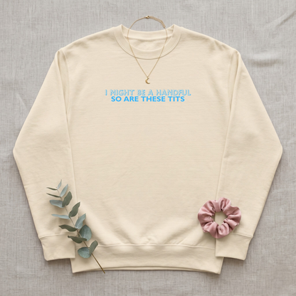 I Might Be A Handful So Are These Tits Premium Sweatshirt